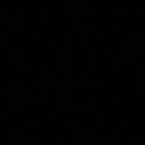 Meet your Posher, Brenna